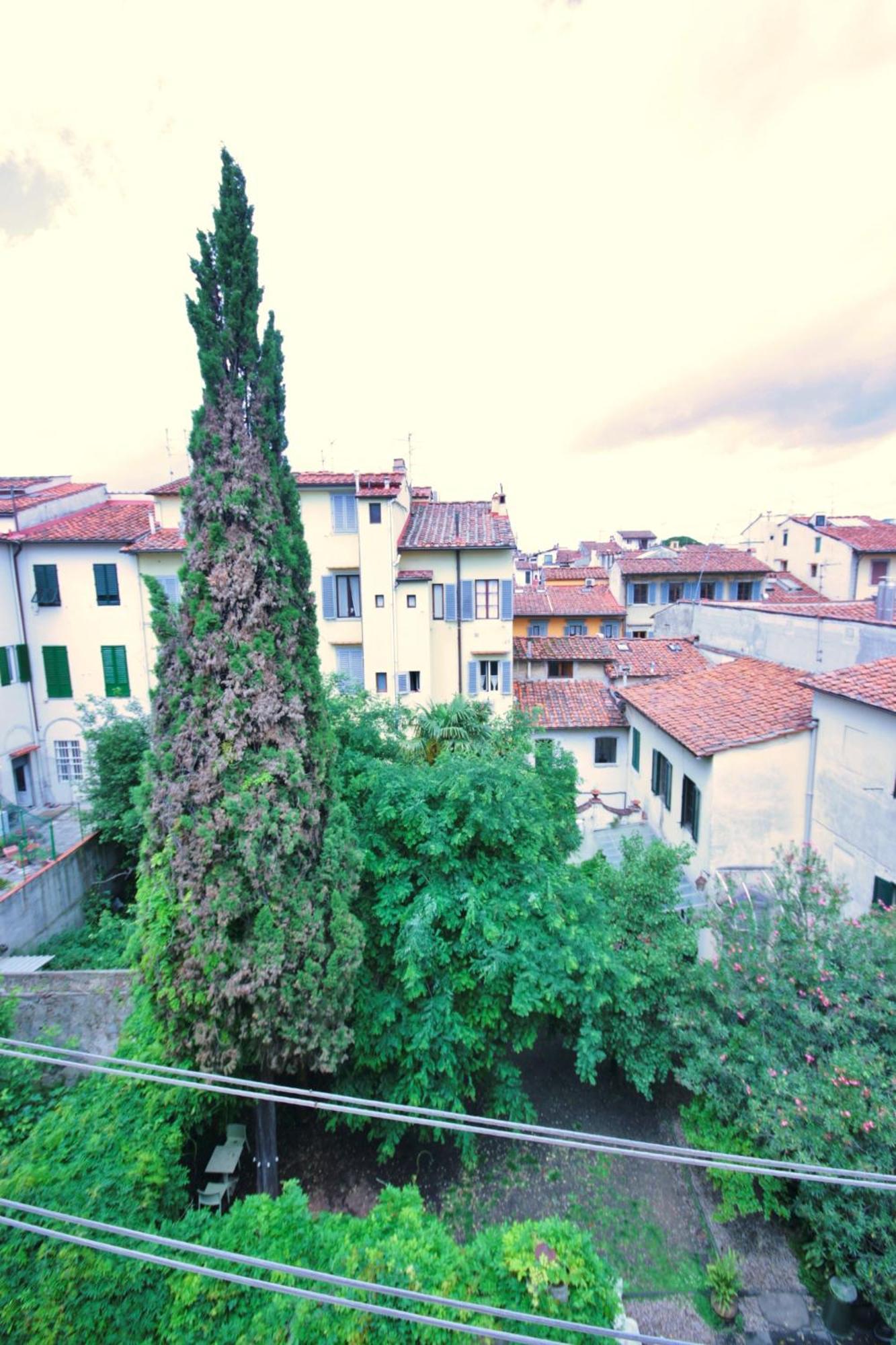 Typical In The Historic Centre Firenze